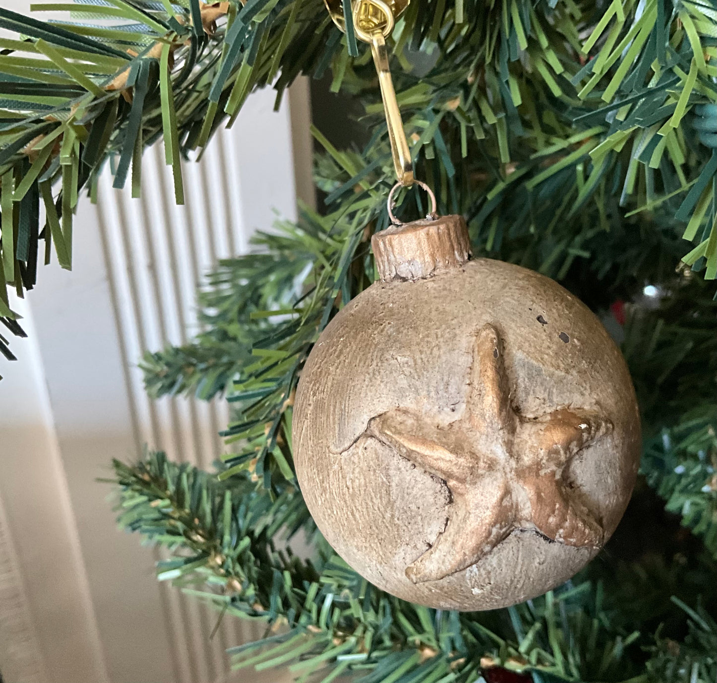 Star Fish