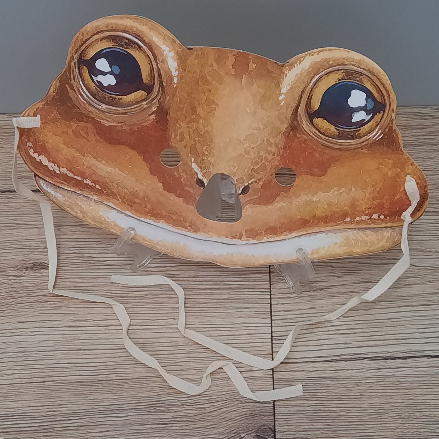 Beatrix Potter " Mr. Jeremy Fisher" Paper Mask 1993