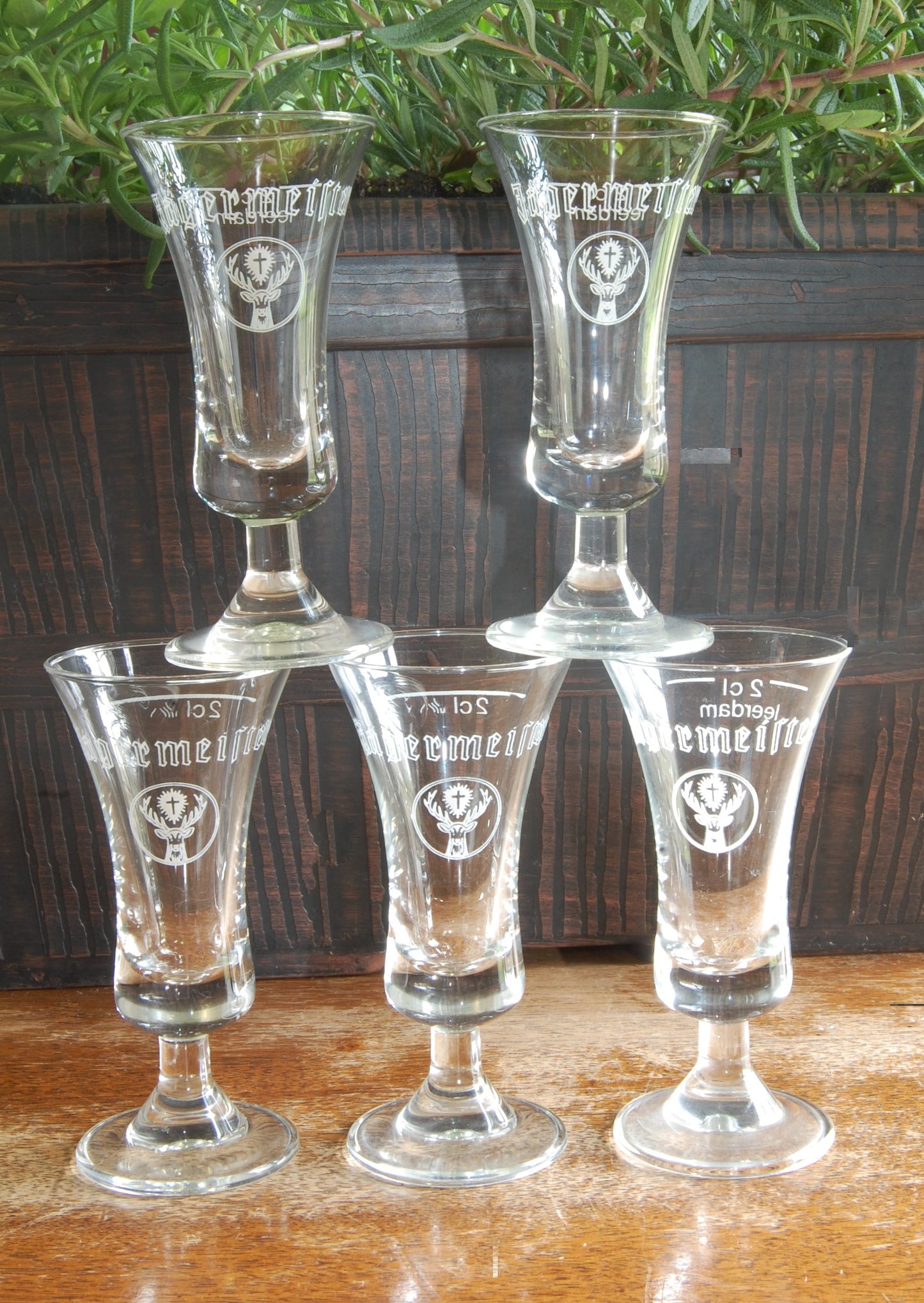 Vintage Jagermeister Footed Shot/Cordial Glasses set of five