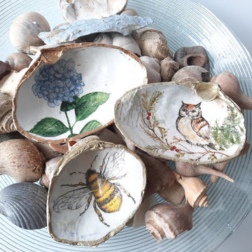 Clam Shell Art