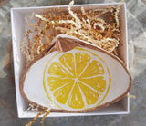 Clam Shell Art Lemon