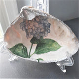 Clam Shell Art Hydrangea