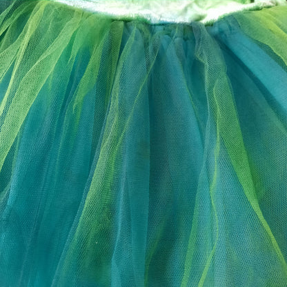 Fairy Dance/Tutu Dress