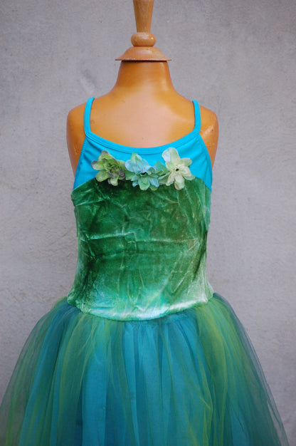 Fairy Dance/Tutu Dress