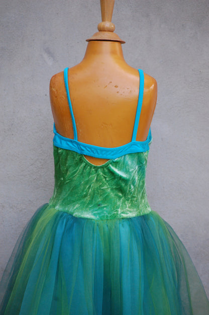 Fairy Dance/Tutu Dress