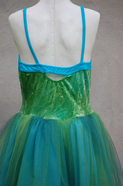 Fairy Dance/Tutu Dress