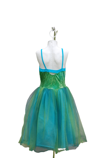 Fairy Dance/Tutu Dress