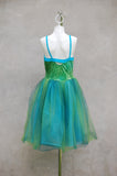 Fairy Dance/Tutu Dress