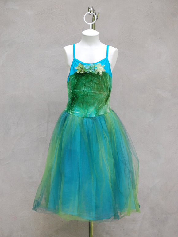 Fairy Dance/Tutu Dress