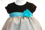 Pre Owned Blueberi Boulevard Baby Dress Size 12months