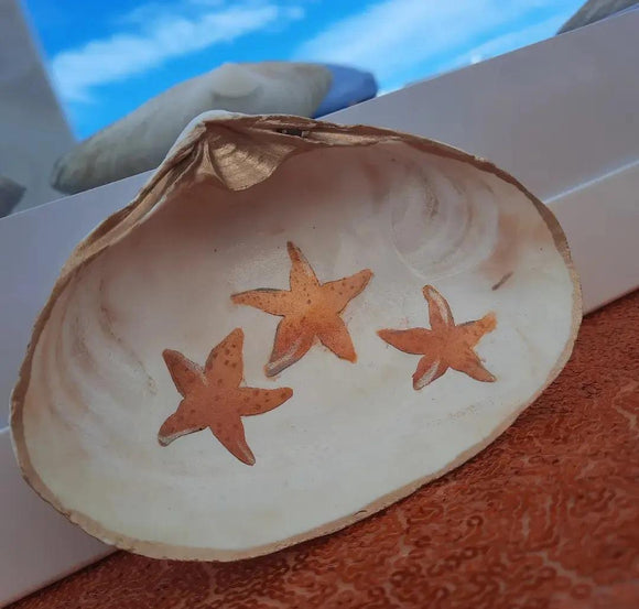 Clam Shell Art Three Orange Star Fish