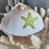 Clam Shell Art Blue Star Fish Green Star Fish